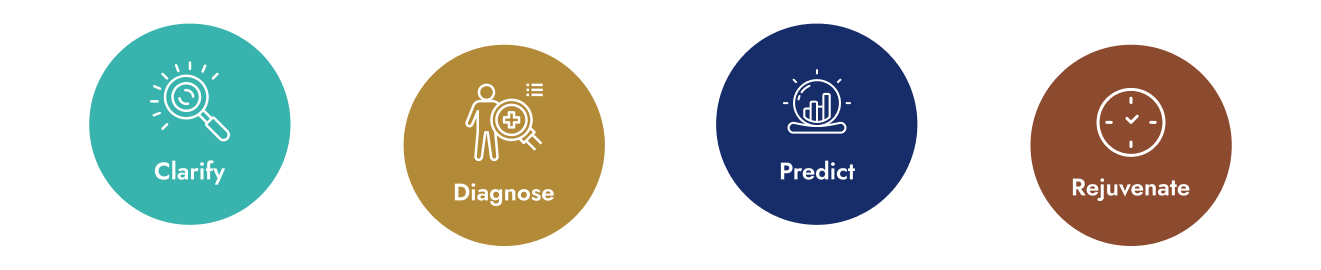 Ageless Future Longevity Summits